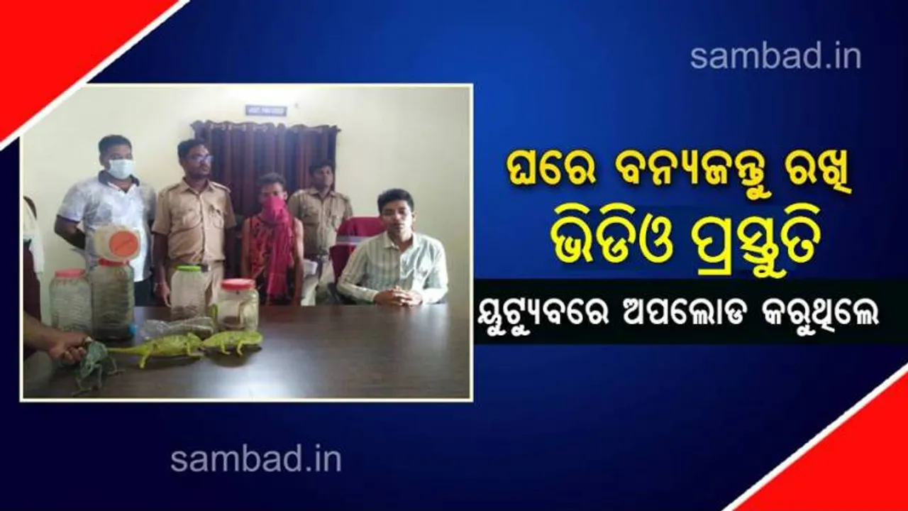  ୟୁଟ୍ୟୁବ ଚାନେଲ କରି ସାପ ଓ ବିରଳ ପ୍ରଜାତିର ସରୀସୄପଙ୍କ ଭିଡିଓ ଅପଲୋଡ କରୁଥିଲେ ଯୁବକ, ଚଢ଼ଉ କଲା ବନ ବିଭାଗ