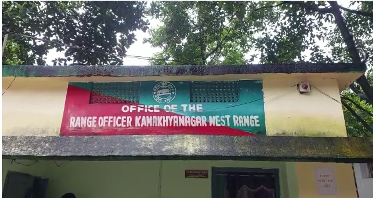  କାଦୁଅରେ ଫସି ମାଈ ହାତୀର ମୃତ୍ୟୁ