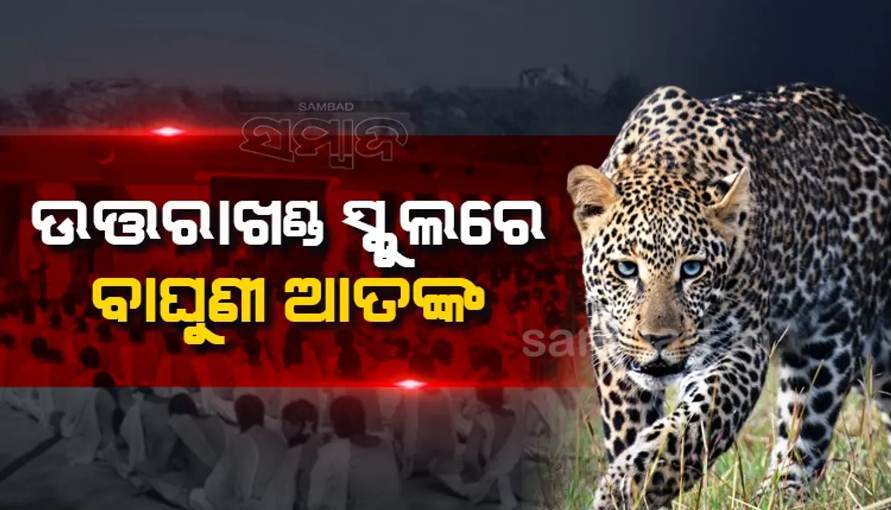  ଉତ୍ତରାଖଣ୍ଡ : ବାଘୁଣୀ ଆତଙ୍କ ଯୋଗୁଁ ସ୍କୁଲ ଛୁଟି