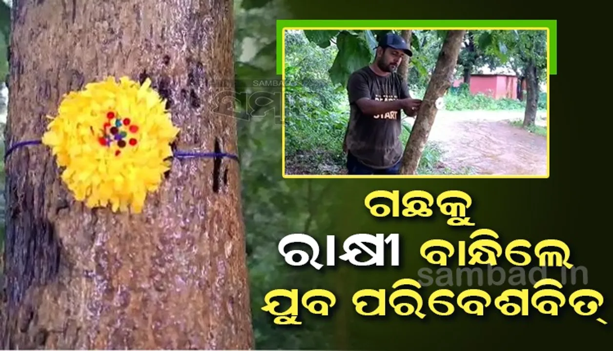  ଗଛକୁ ରାକ୍ଷୀ ବାନ୍ଧି ରକ୍ଷାବନ୍ଧନ ପାଳିଲେ ଯୁବ ପରିବେଶବିତ୍ 