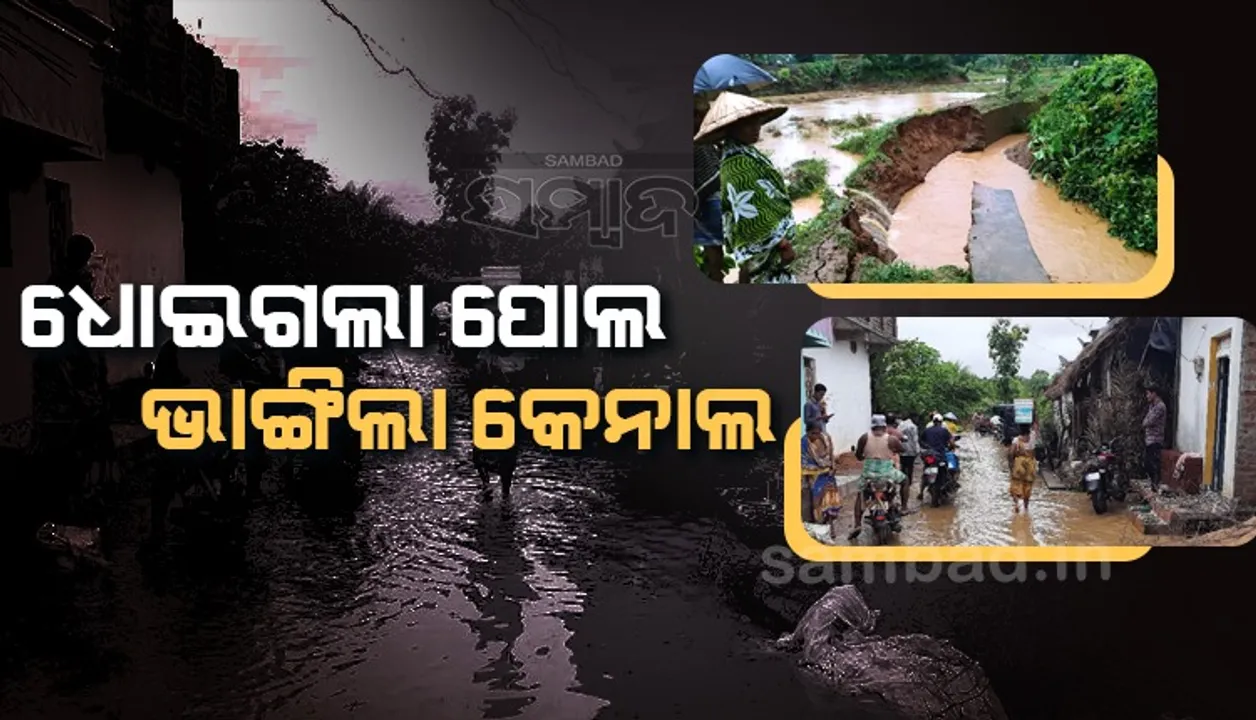  ରାୟଗଡ଼ାରେ ବର୍ଷା ବିତ୍ପାତ; ଶହ ଶହ ଏକର ଜମି ଜଳମଗ୍ନ, ପୋଡାମରା-କୁମ୍ଭିକୋଟା ବିଚ୍ଛିନ୍ନ