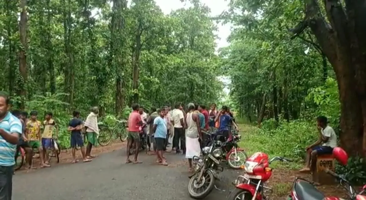  ଗୋଚାଲାଣ ବେଳେ ପିକଅପ ଓଲଟି ୬ ଗାଈ ମୃତ