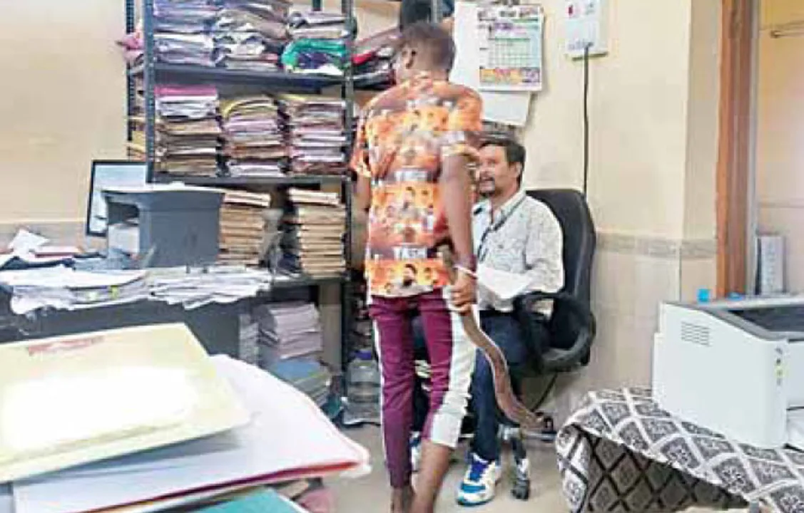 ବୁର୍ଲା ପିଏଚ୍‌ଡ଼ି ଅଫିସ୍‌ରେ ବୁଲିଲା ଖଣ୍ଡା