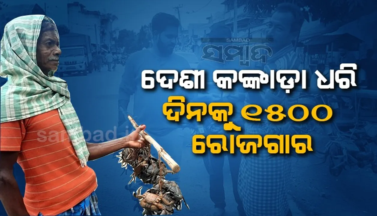  ଦେଶୀ କଙ୍କଡ଼ା ତରକାରୀ ଭାରି ସୁଆଦିଆ; ଦାମ ଆକାଶ ଛୁଆଁ, ବଢ଼ିଛି ୧୦ ଗୁଣ