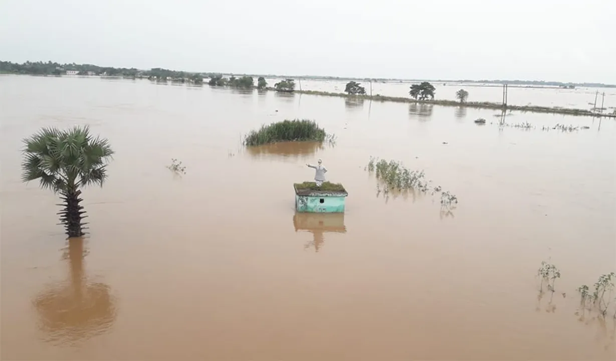  ବିପଦ ସଂକେତ ଉପରେ ବୈତରଣୀ, କାଣୀ