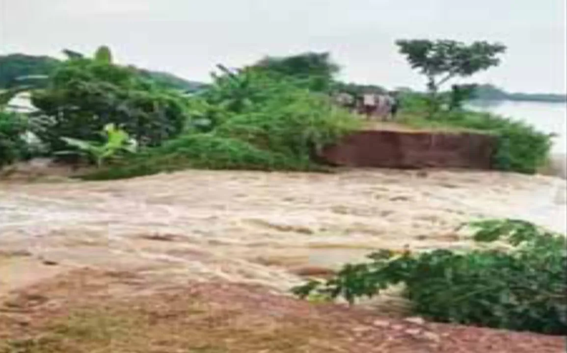  ନଦୀବନ୍ଧରେ ଘଳିଆ: କୁଜଙ୍ଗରେ ଗୋଟିଏ ଦିନରେ ୨ ଘାଇ; କାଳ ହେଲା ପାଇକା, ମହାନଦୀ