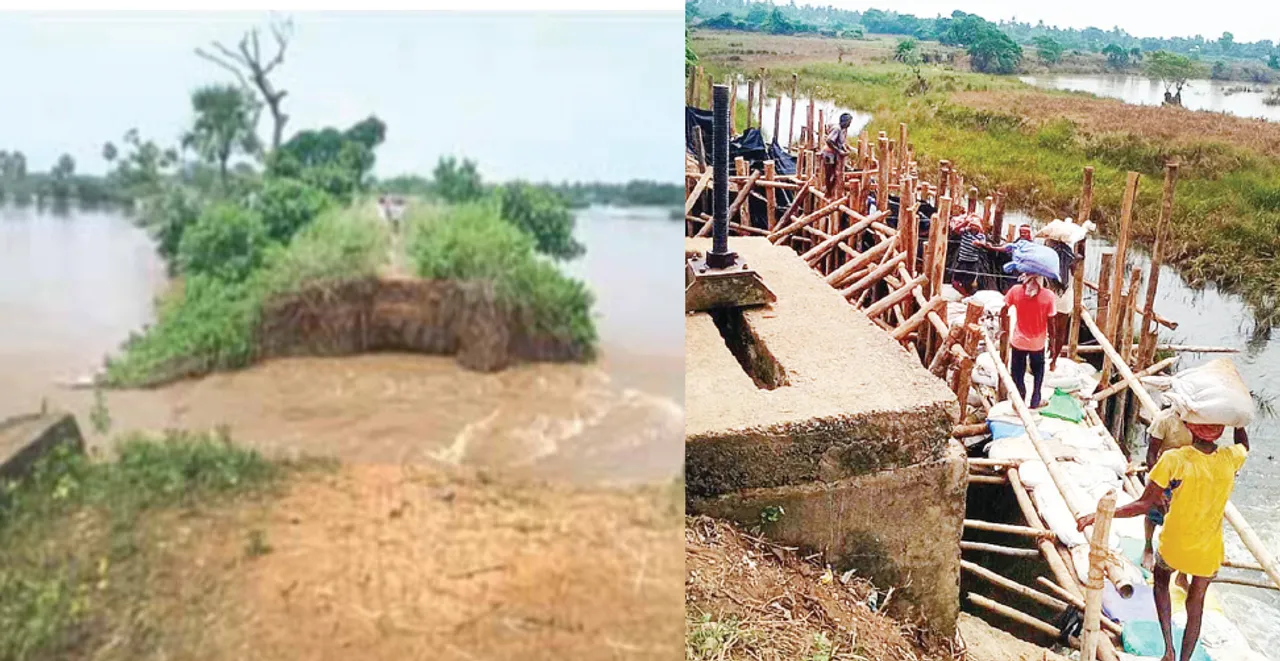  କୁଶଭଦ୍ରା ନଦୀବନ୍ଧ ଘାଇ: ଭାଙ୍ଗିଗ‌ଲା ନା ଭାଙ୍ଗିଦେଲେ