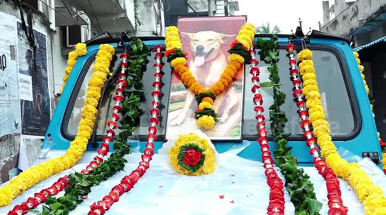  ‘ଭଲ ଖବର’ର ଜୟ ହେଉ