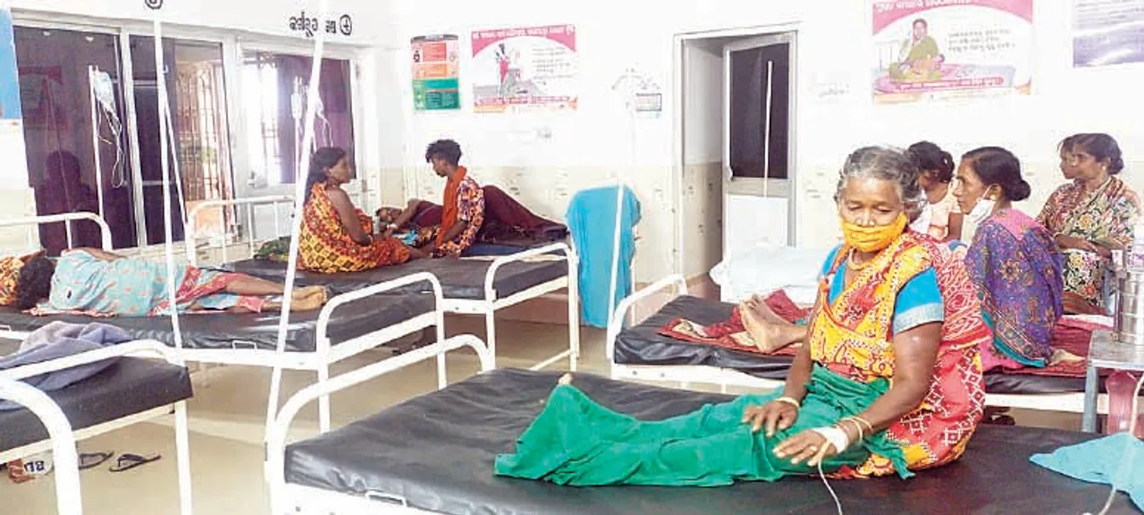  ନବରଙ୍ଗପୁରରେ କାୟା ମେଲାଉଛି ଝାଡ଼ାବାନ୍ତି