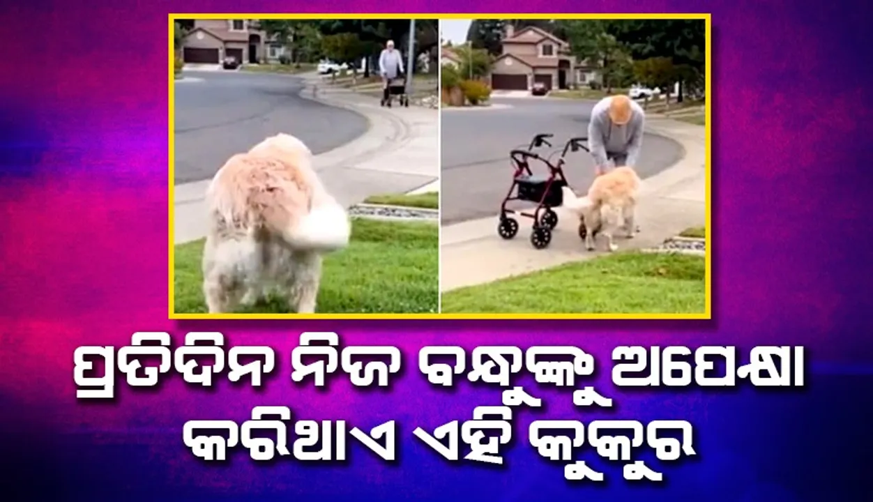  ପ୍ରତିଦିନ ସକାଳୁ ସମାନ ସମୟ‌ରେ ୯୦ ବର୍ଷୀୟ ବନ୍ଧୁଙ୍କୁ ଜଗି ବସିଥାଏ ମୈସୀ