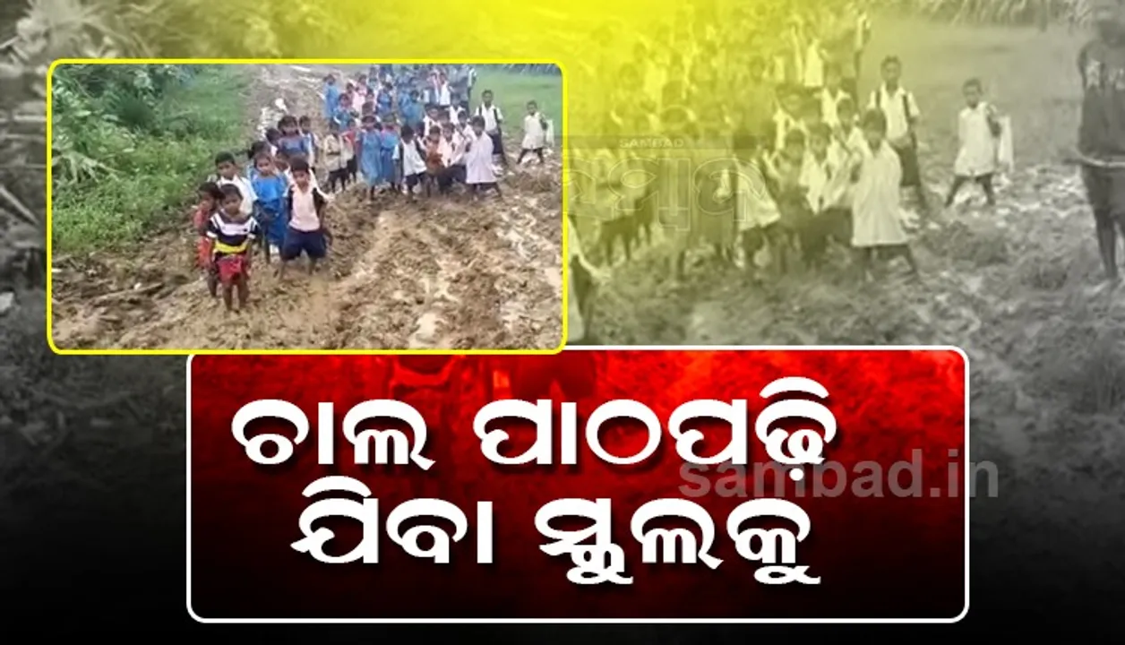  ମାଲକାନଗିରିରେ ଗ୍ରାମାଞ୍ଚଳ ରାସ୍ତାର ଶୋଚନୀୟ ଅବସ୍ଥା, ମରାମତି ନେଇ ଉପୁଜିଲା ବିବାଦ