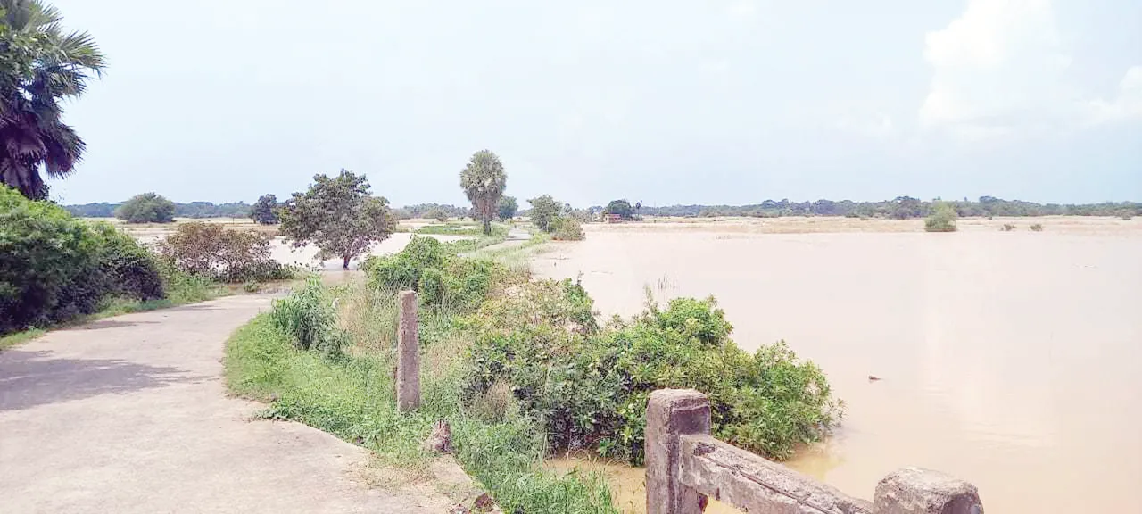  Sambad 