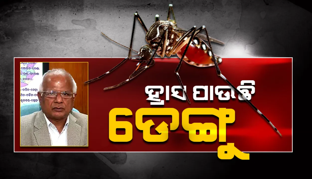  ମୌସୁମୀ ସମୟରେ ଓ ପରେ ଡେଙ୍ଗୁ ସାମାନ୍ୟ ବଢ଼ିଥିଲା, ଏବେ କମୁଛି: ଜନସ୍ବାସ୍ଥ୍ୟ ନିର୍ଦ୍ଦେଶକ