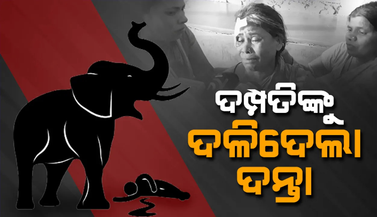  ଦମ୍ପତିଙ୍କୁ ଦଳିଦେଲା ଦନ୍ତା: ସ୍ବାମୀ ମୃତ, ସ୍ତ୍ରୀ ଗୁରୁତର
