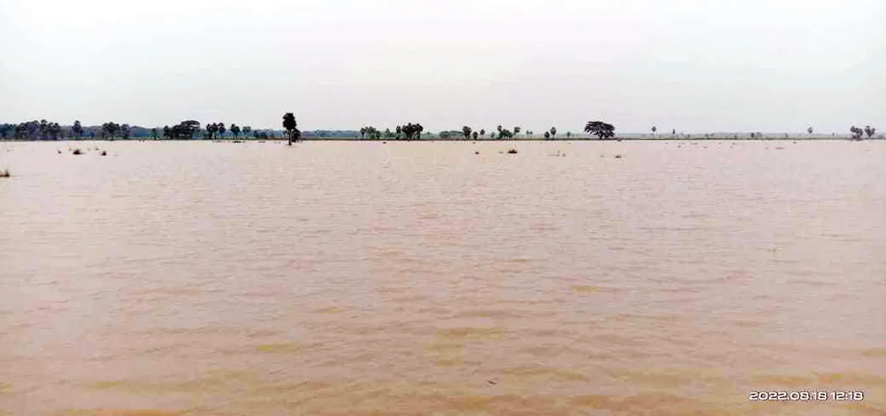  Sambad 