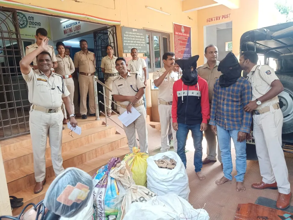  ନନ୍ଦପୁରରୁ କେରଳ ଭାୟା ରାୟପୁର: ପୁଷ୍ପା ଶୈଳୀରେ ଚାଲାଣ କରୁଥିଲେ ଚନ୍ଦନ କାଠ, ମାଡି ବସିଲା ପୁଲିସ