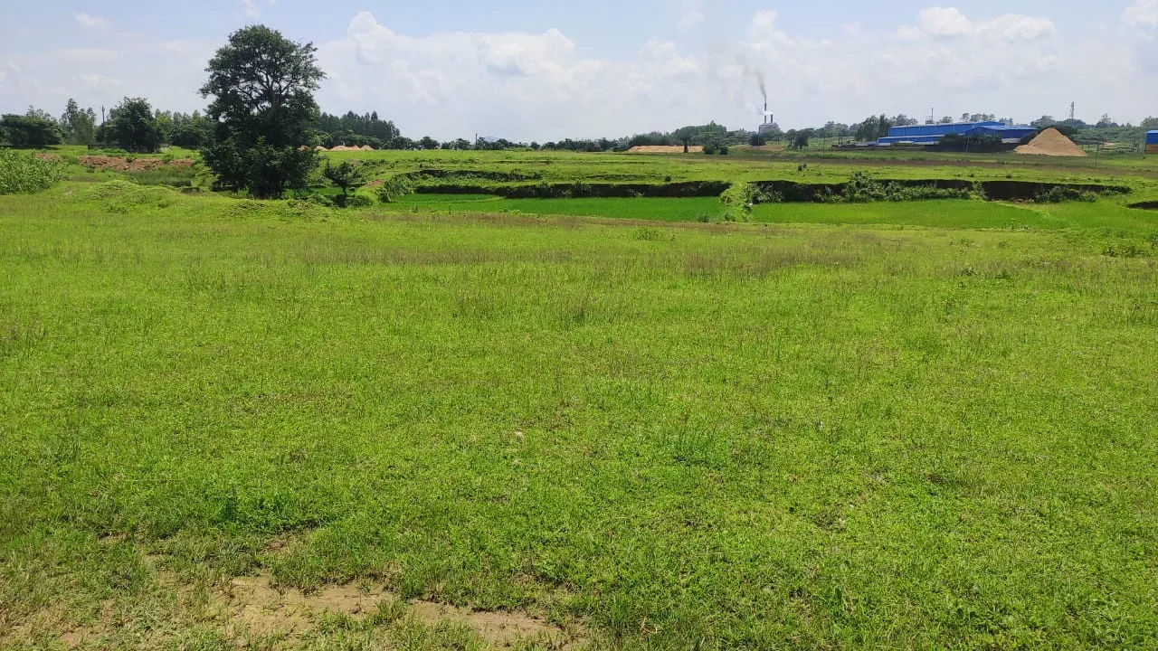  ଜୟପୁର ବ୍ଲକରେ ମନରେଗା ବାଟବଣା, ଟଙ୍କା ଖର୍ଚ୍ଚ ସତ୍ତ୍ବେ ପ୍ରକଳ୍ପର ନାହିଁ ଚିହ୍ନବର୍ଣ୍ଣ