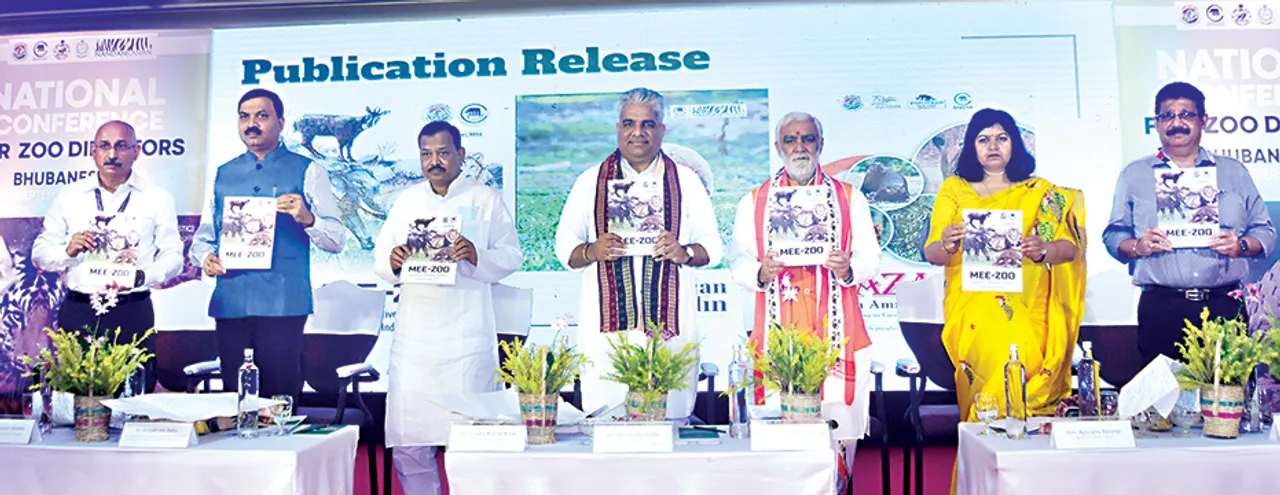  ପ୍ରଧାନମନ୍ତ୍ରୀଙ୍କ ଜନ୍ମଦିନରେ ଭାରତରେ ଦୌଡ଼ିବେ ଚିତା