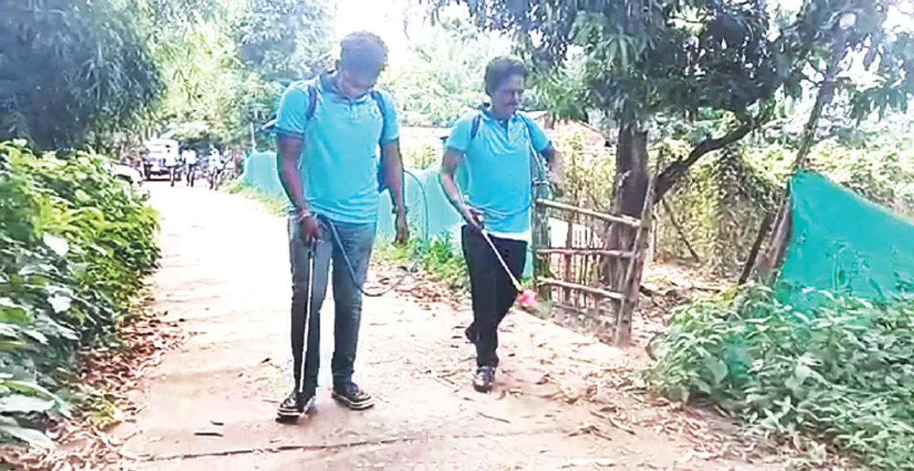  ବିଷାକ୍ତ ପିମ୍ପୁଡ଼ି ଆତଙ୍କ ଘଟଣା: ନାଲି ପିମ୍ପୁଡ଼ି ସଂଗ୍ରହ କଲେ ଓୟୁଏଟି ବିଶେଷଜ୍ଞ ଦଳ
