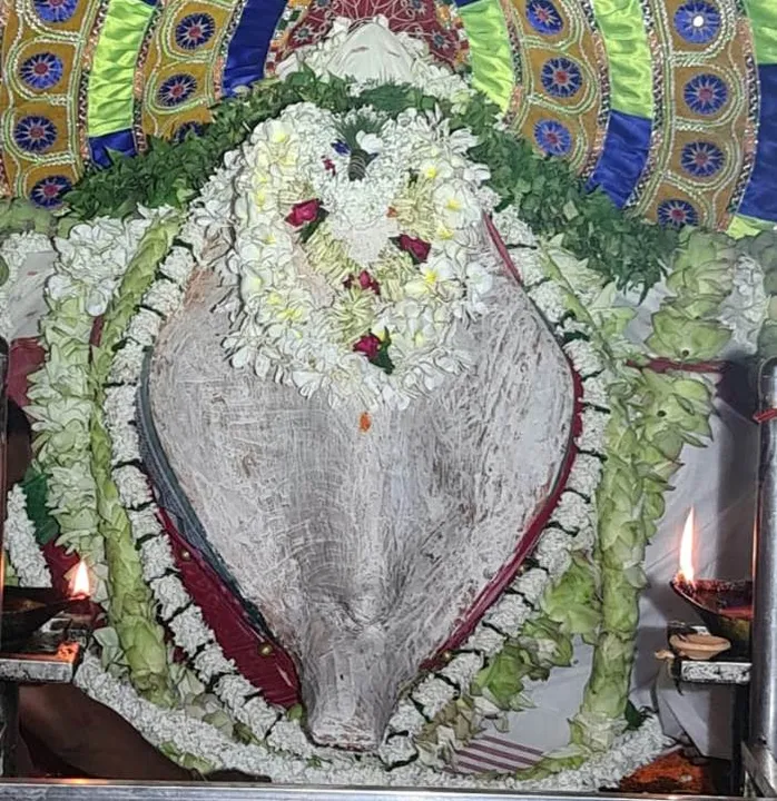  ମାଁ ସମଲେଶ୍ବରୀଙ୍କ ଧବଳମୁଖୀ ବେଶ ଦର୍ଶନ ପାଇଁ ମନ୍ଦିରରେ ଭିଡ଼