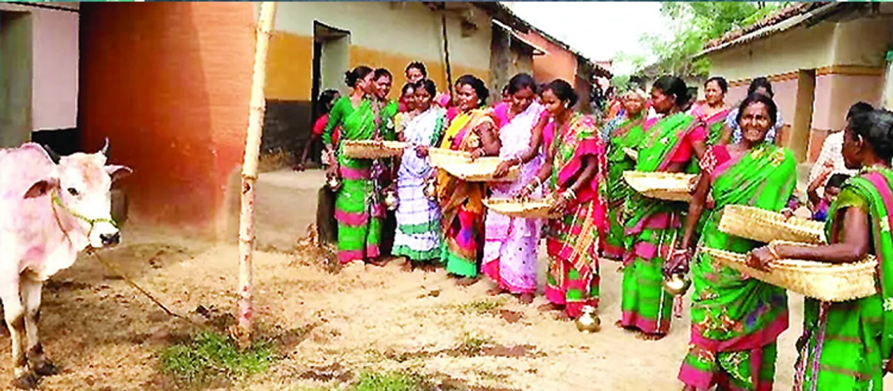  ବାନ୍ଦନା ପର୍ବ ପାଇଁ ଉତ୍ସବମୁଖର କୁଡ଼ୁମୀ ଅଧ୍ୟୁଷିତ ଗାଁ