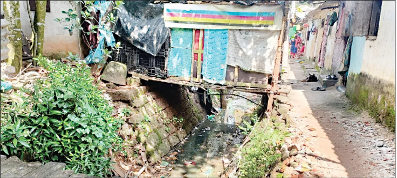  ଭରତପୁର ବନ୍ୟଜନ୍ତୁଙ୍କୁ ବିପଦ: ଟ୍ରେଞ୍ଚ ପାଲଟିଛି ଡ୍ରେନ୍‌
