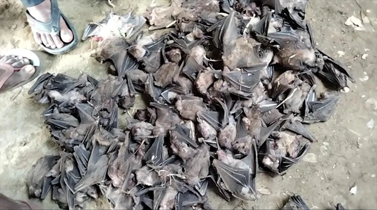  ଶତାଧିକ ଚେମଣିଆ ମାରି ୫ ଅଟକ