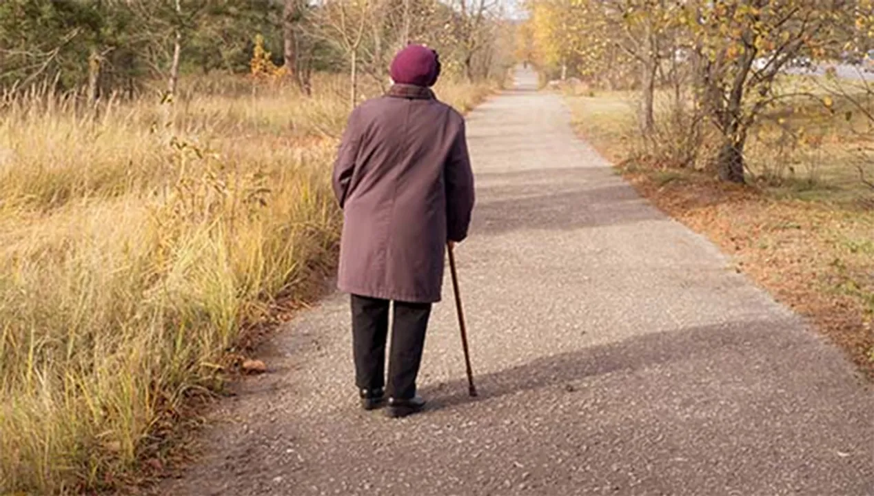  National Institute on Aging - National Institutes of Health (NIH) 