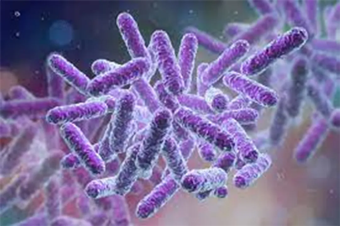  Institute for Molecular Bioscience - The University of Queensland 