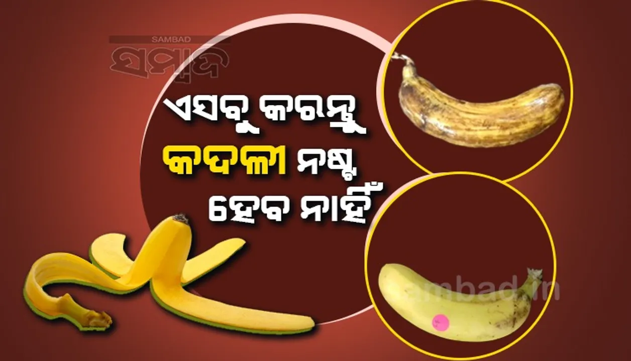  କଦଳୀ କଳା ନ ପଡ଼ି ନଷ୍ଟ ନହେବାର ଉପାୟ ଜାଣିଛନ୍ତି କି?