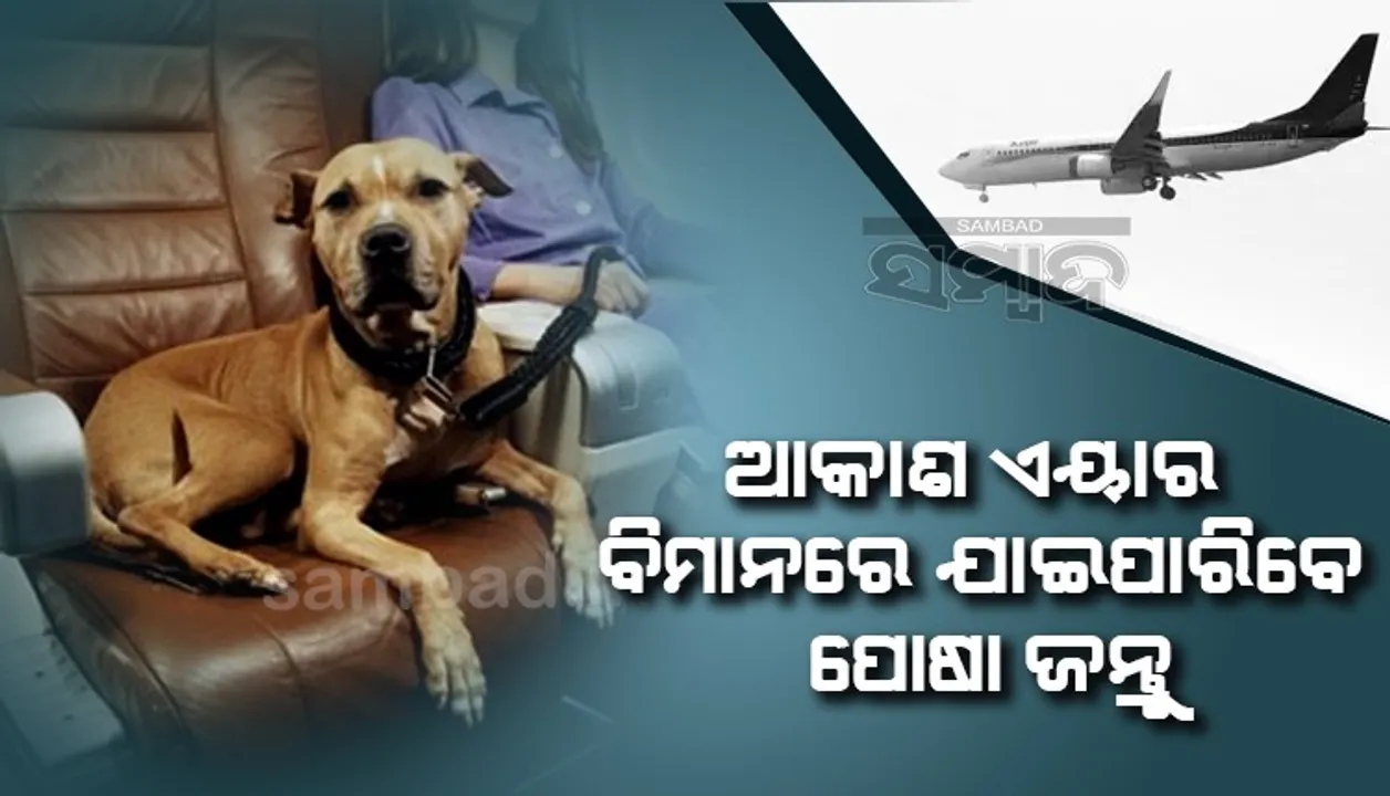  ଆକାଶ ଏୟାର ବିମାନରେ ଯାଇପାରିବେ ପୋଷା ଜନ୍ତୁ