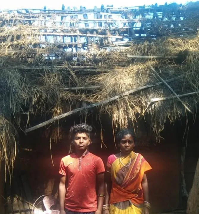 Sambad 