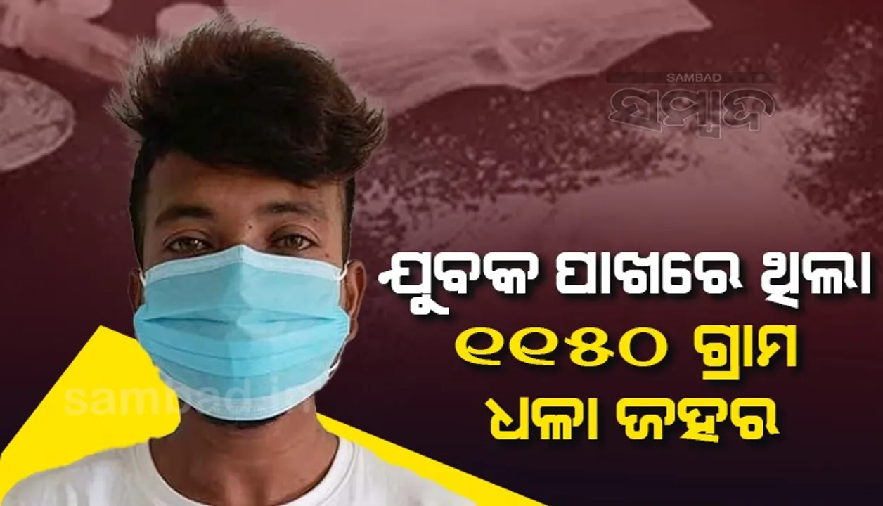  ପାଖରେ ଥିଲା କିଲେରୁ ଅଧିକ ବ୍ରାଉନ୍‌ସୁଗାର,ବିକିଥିଲେ ମିଳିଥାନ୍ତା କୋଟିଏ ଟଙ୍କା; ମାଡ଼ିବସିଲା ଏସ୍‌ଟିଏଫ୍‌