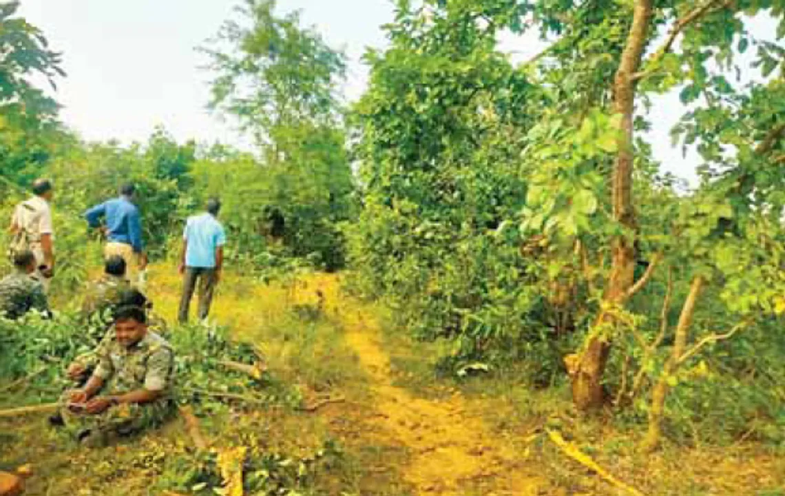  ଢେଙ୍କାନାଳରେ ଭୁଶୁଡ଼ୁଛି ଜନ୍ତୁ-ମାଫିଆଙ୍କ ସାମ୍ରାଜ୍ୟ: ବନ୍ୟଜନ୍ତୁ ଦେହାବଶେଷ ଜବତରେ ରାଜ୍ୟରେ ତୃତୀୟ