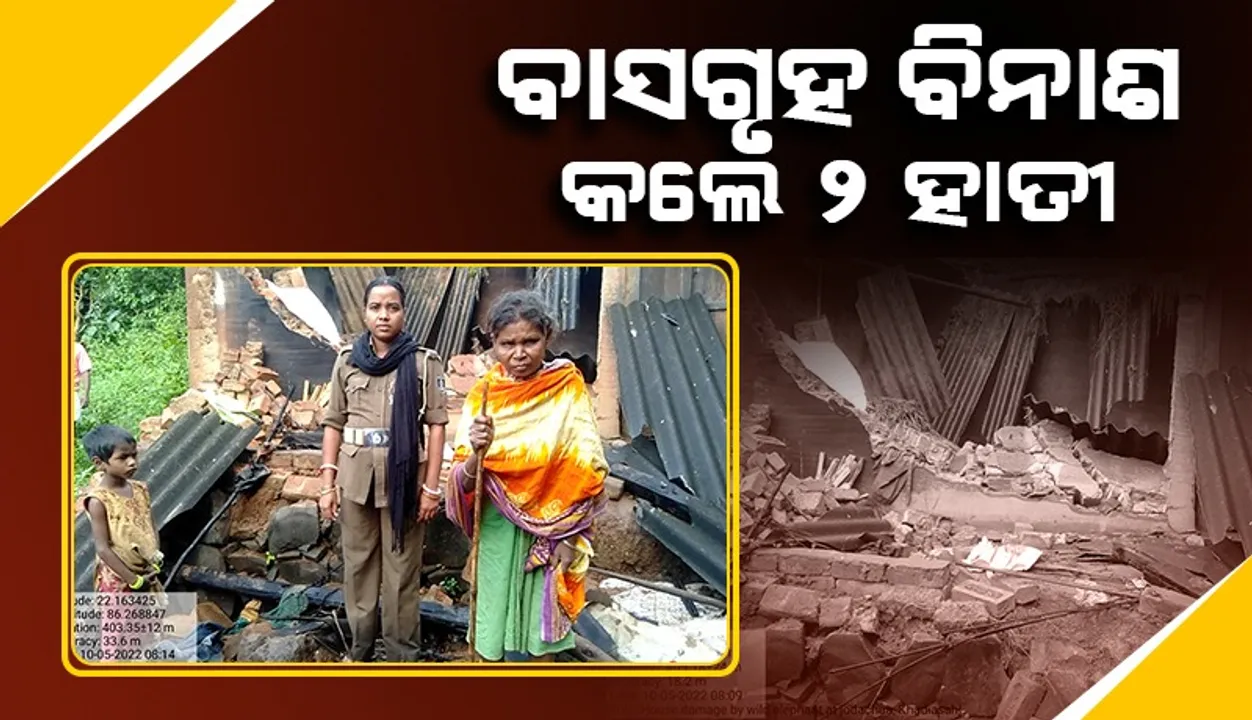  ଘର ଭାଙ୍ଗିଲା ହାତୀ; ୫ ବର୍ଷର ନାତୁଣୀ ସହ ଅଳ୍ପକେ ବର୍ତ୍ତିଲେ ଜେଜେବାପା ଓ ଜେଜେମା’
