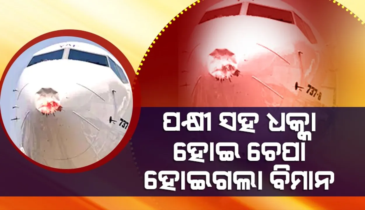  ପକ୍ଷୀ ସଙ୍ଗେ ଧକ୍କା ଖାଇବାରୁ ଦିଲ୍ଲୀ ଆସୁଥିବା ‘ଆକାଶ’ ବିମାନର ‘ରେଡମ୍‌’ ନଷ୍ଟ