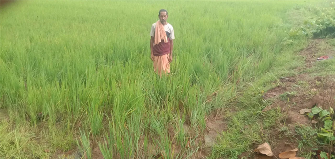  ଫସଲ ନଷ୍ଟ କଲେ ହାତୀପଲ