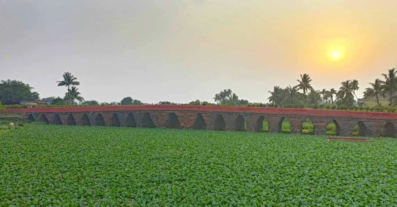  ନୂଆବର୍ଷ ପୂର୍ବରୁ ସଜେଇ ହେବ ଅଠରନଳା