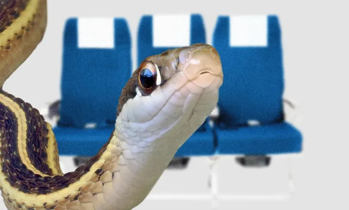  Image Courtesy of NJ News 