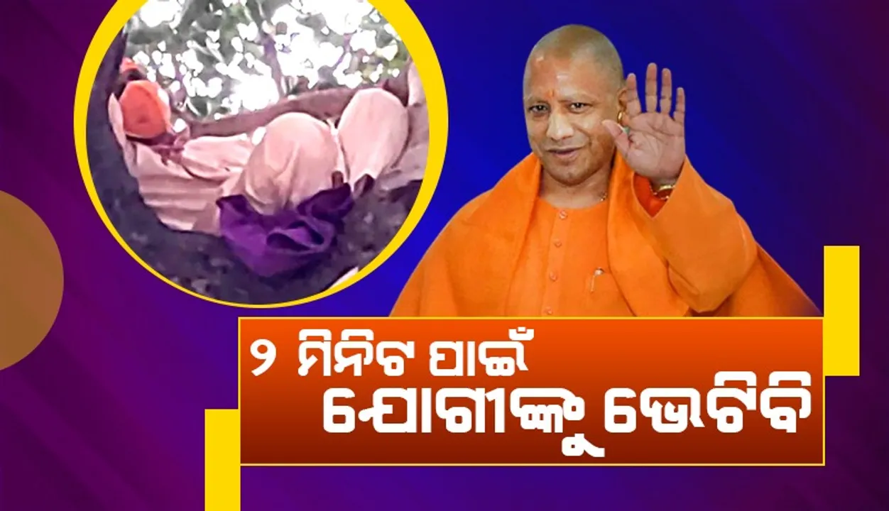  ଗଛ ଉପରେ ହାଇ ଭୋଲ୍‌ଟେଜ୍‌ ଡ୍ରାମା: ୨ ମିନିଟ୍‌ ପାଇଁ ଆଦିତ୍ୟନାଥଙ୍କୁ ଭେଟିବାର ଅଛି