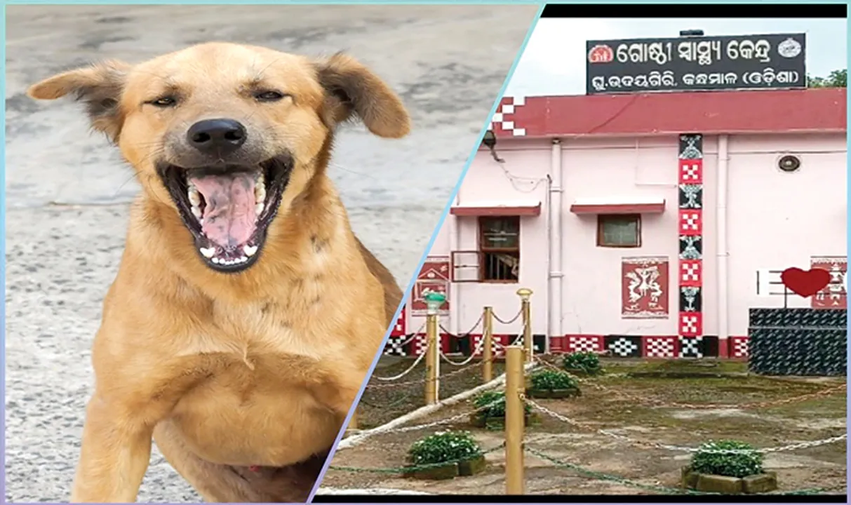  ଘୁ.ଉଦୟଗିରିରେ ପାଗଳ କୁକୁର ଆତଙ୍କ,  ସ୍ଥାନୀୟ ସ୍ୱାସ୍ଥ୍ୟକେନ୍ଦ୍ରରେ ମିଳୁନି ଇଞ୍ଜେକ୍ସନ