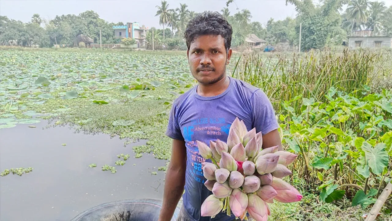  ପଦ୍ମଫୁଲ ଦେଇଛି ରୋଜଗାର, ପତ୍ର ବି ବିକ୍ରି ହେଉଛି, ମାସକୁ ଆୟ ୨୫ ହଜାର