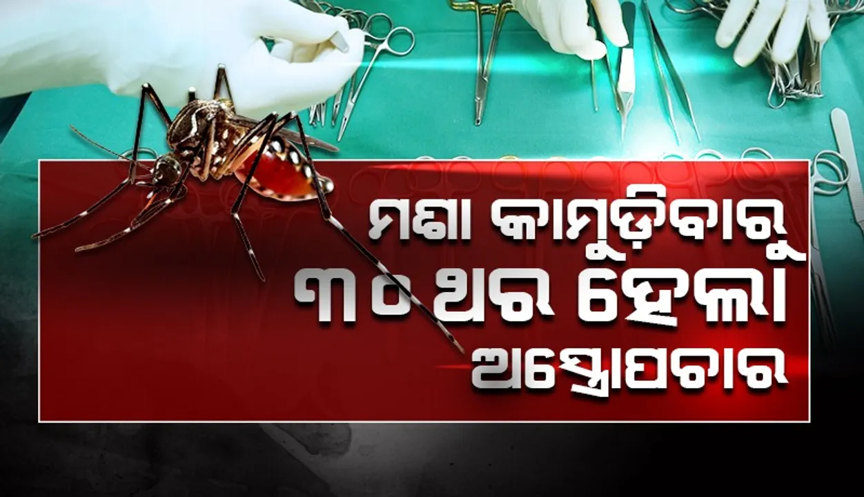  ମଶା କାମୁଡ଼ିବାରୁ ବ୍ୟକ୍ତିଙ୍କ ୩୦ଥର ହେଲା ଅସ୍ତ୍ରୋପଚାର