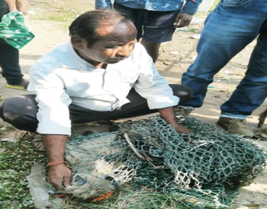  ହାଟରୁ ହାର ଚୋରିକଲା ହନୁ