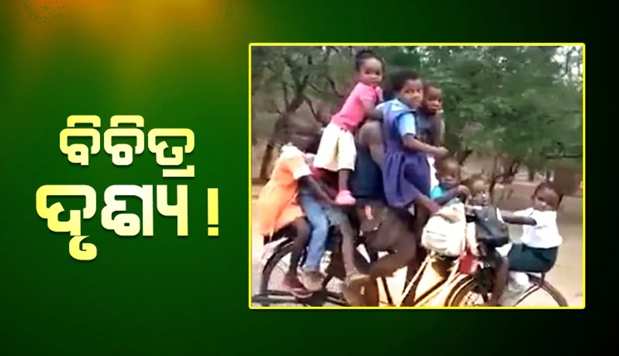  ଦେଖନ୍ତୁ କିଭଳି ଅବସ୍ଥାରେ ୯ଜଣ ପିଲାଙ୍କୁ ଗୋଟିଏ ସାଇକେଲରେ ବସାଇ ସ୍କୁଲ ଛାଡ଼ିବାକୁ ନେଉଛନ୍ତି ଏହି ବ୍ୟକ୍ତି