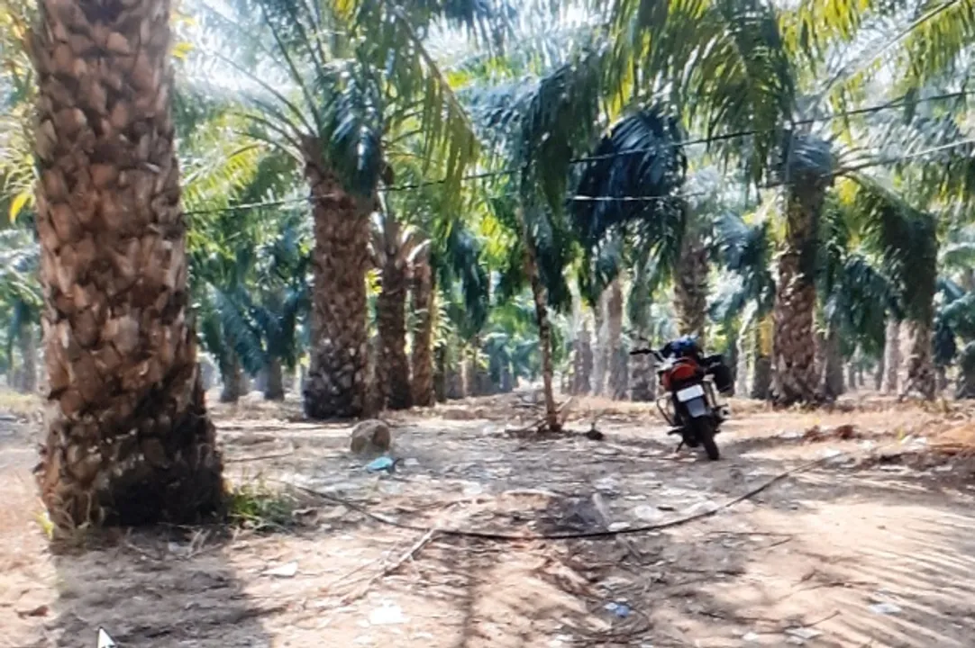 ଖରିଫ୍ ଧାନ ବିକ୍ରି ପଞ୍ଜୀକରଣରେ କେଳେଙ୍କାରୀ: ୩୭୨.୮୪ କୋଟି ହଡ଼ପ ମସୁଧା!