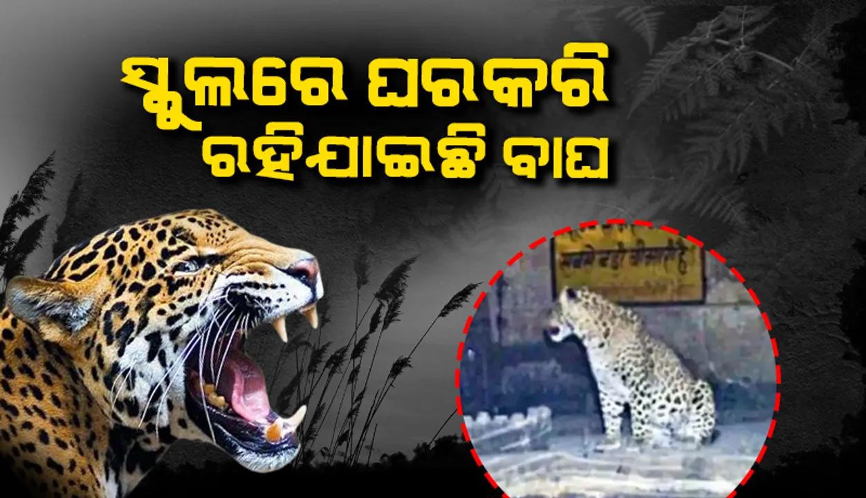  ସ୍କୁଲ୍‌ରେ କଲରାପତ୍ରିଆ ଘରକରି ରହିବାରୁ ପଢ଼ିବାକୁ ଯାଇ ପାରୁନାହାନ୍ତି ପିଲା