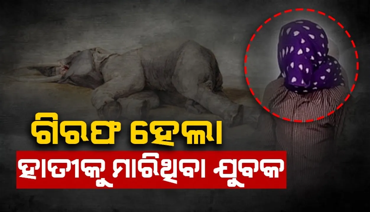  ତେଲକୋଇରେ ମାଈହାତୀର ମୃତ୍ୟୁ ଘଟଣା: ଅଭିଯୁକ୍ତ ଗିରଫ