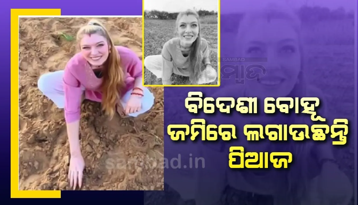  ଚାଷଜମିରେ ପିଆଜ ଲଗାଇବା ଅନୁଭୂତି ବଖାଣିଲେ ଜର୍ମାନରୁ ଆସିଥିବା ବୋହୂ
