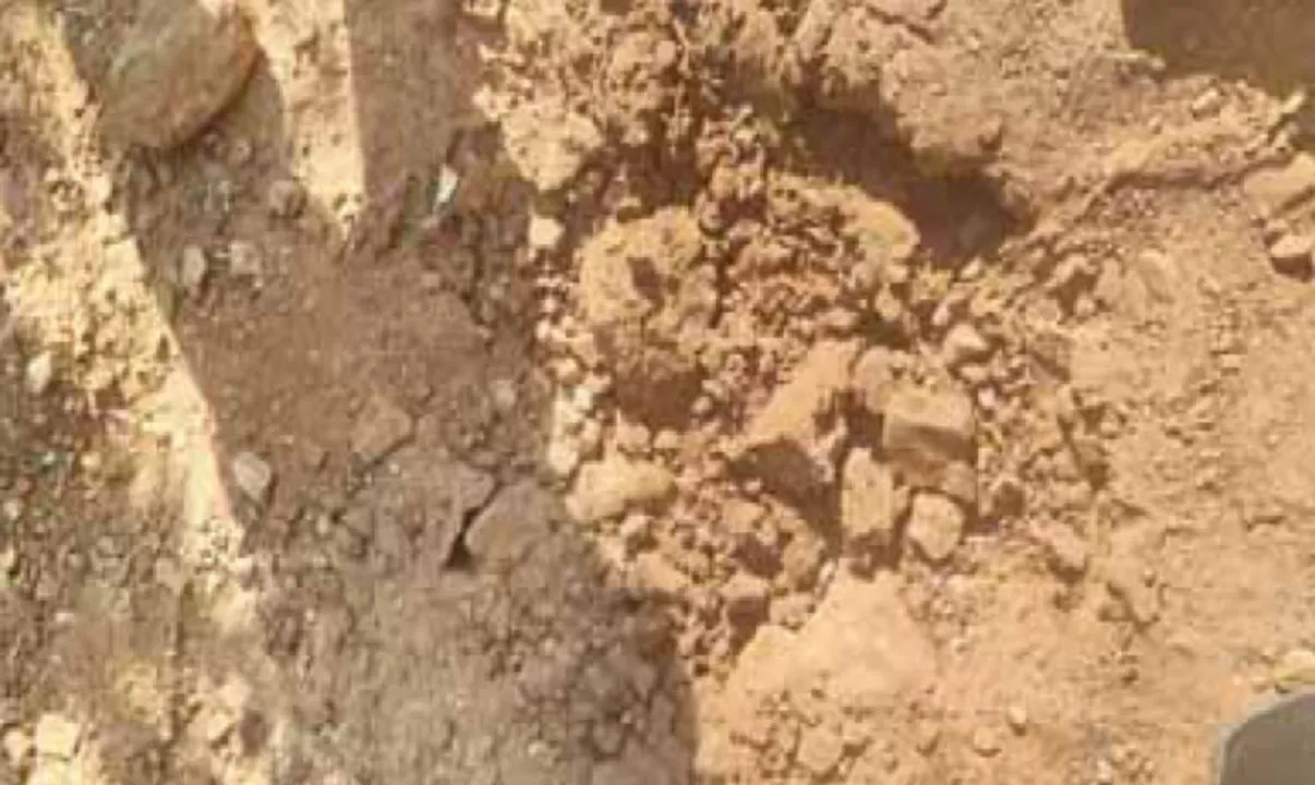  ଗଞ୍ଜେଇ ବିନାଶ ଅଭିଯାନ ବେଳେ ଅଘଟଣ: ଲ୍ୟାଣ୍ଡମାଇନ୍‌ ବିସ୍ଫୋରଣ, ଅଳ୍ପକେ ବର୍ତ୍ତିଲେ ୫୦ କର୍ମଚାରୀ